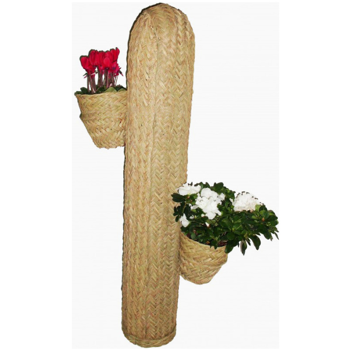Rattan Cactus pot cover in Sparta two arms Moroccan Cactus Rattan Cactus Handwoven Rattan Cactus Halfah Grass Cactus Rafia