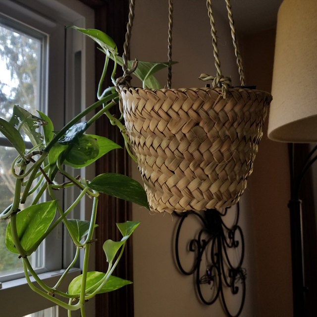 hanging Planter baskets by bringing the outside inside! It  made by Moroccan artisans from natural palm leaf The dimensions H12 cm x W18 cm